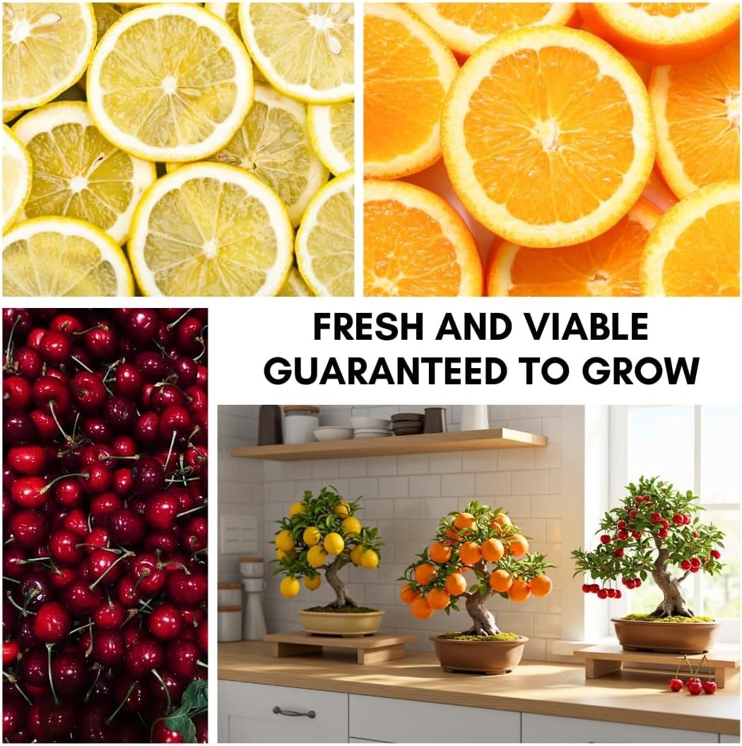 Grow Your Own Fresh Fruits: 150+ Dwarf Bonsai Tree Seeds (Lemon, Cherry, Orange)