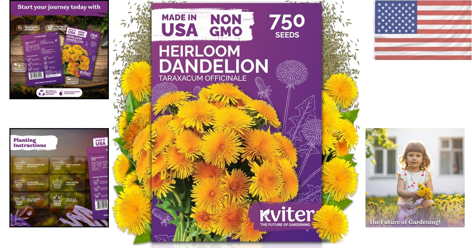 750 High Germination Dandelion Seeds – Sustainable Edible Herb for All Seasons