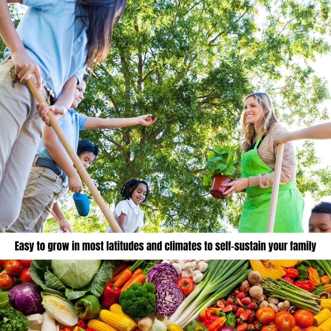 Ultimate Home Garden Kit – 105 Varieties of Non-GMO Heirloom Seeds in Organizer
