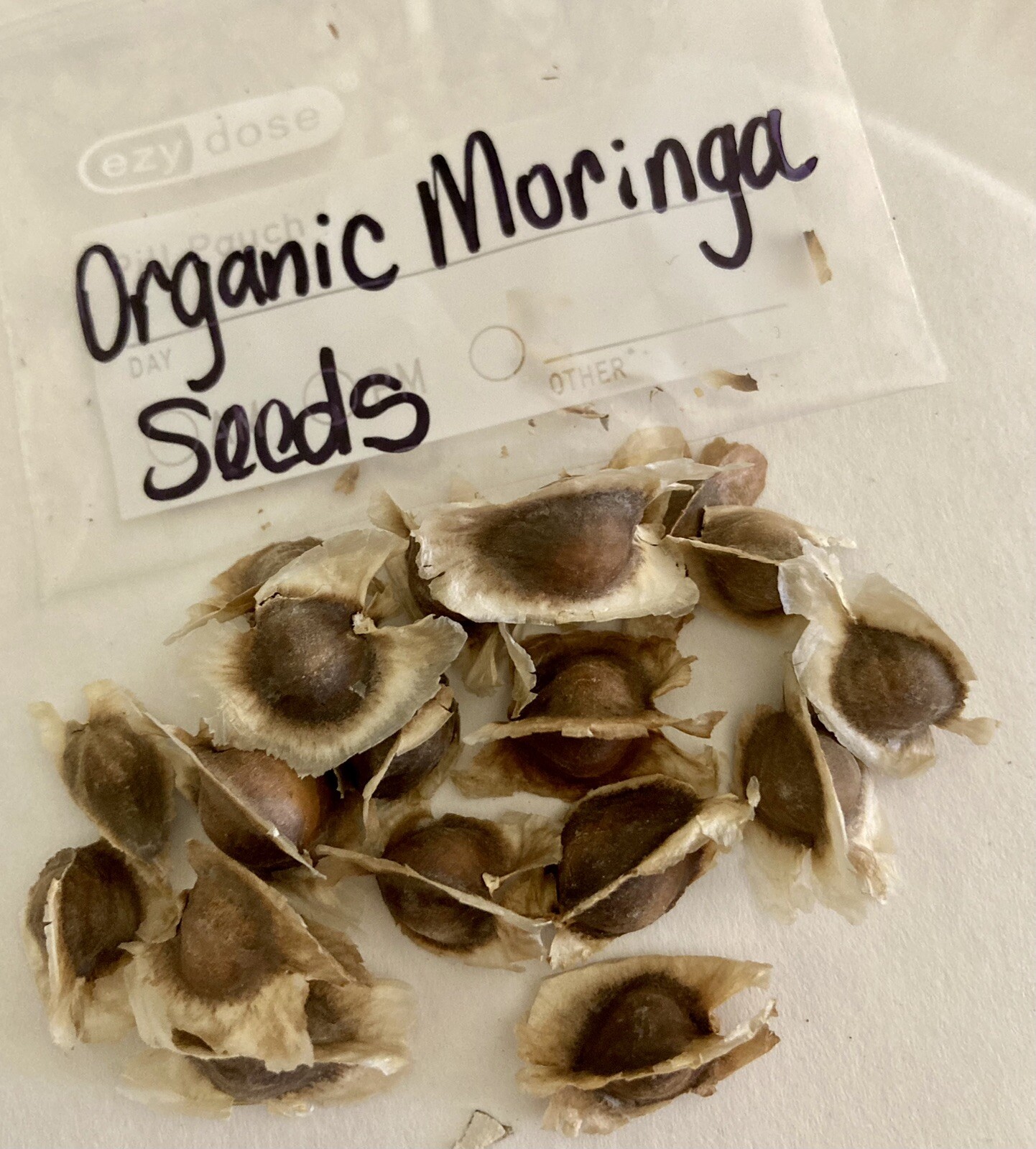 Hand Picked organic Moringa Oleifera Seeds from my Tree in Sunny Arizona🌵🌞