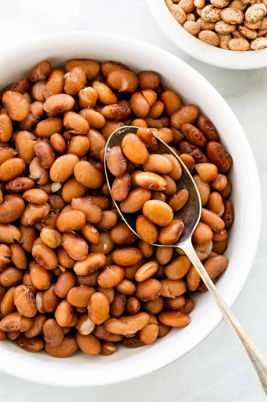 Pinto Bean Seeds | For Planting Bush Shell Beans Spanish Pea Vegetable Seed 2024
