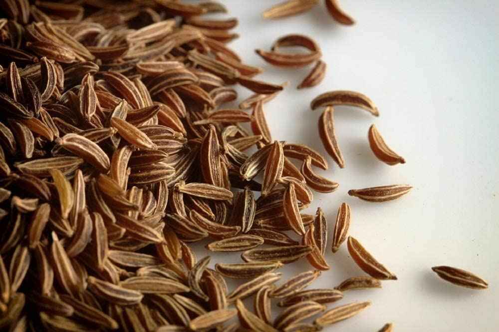 Caraway Spice Seeds, “COOL BEANS N SPROUTS” Brand. Home Gardening.