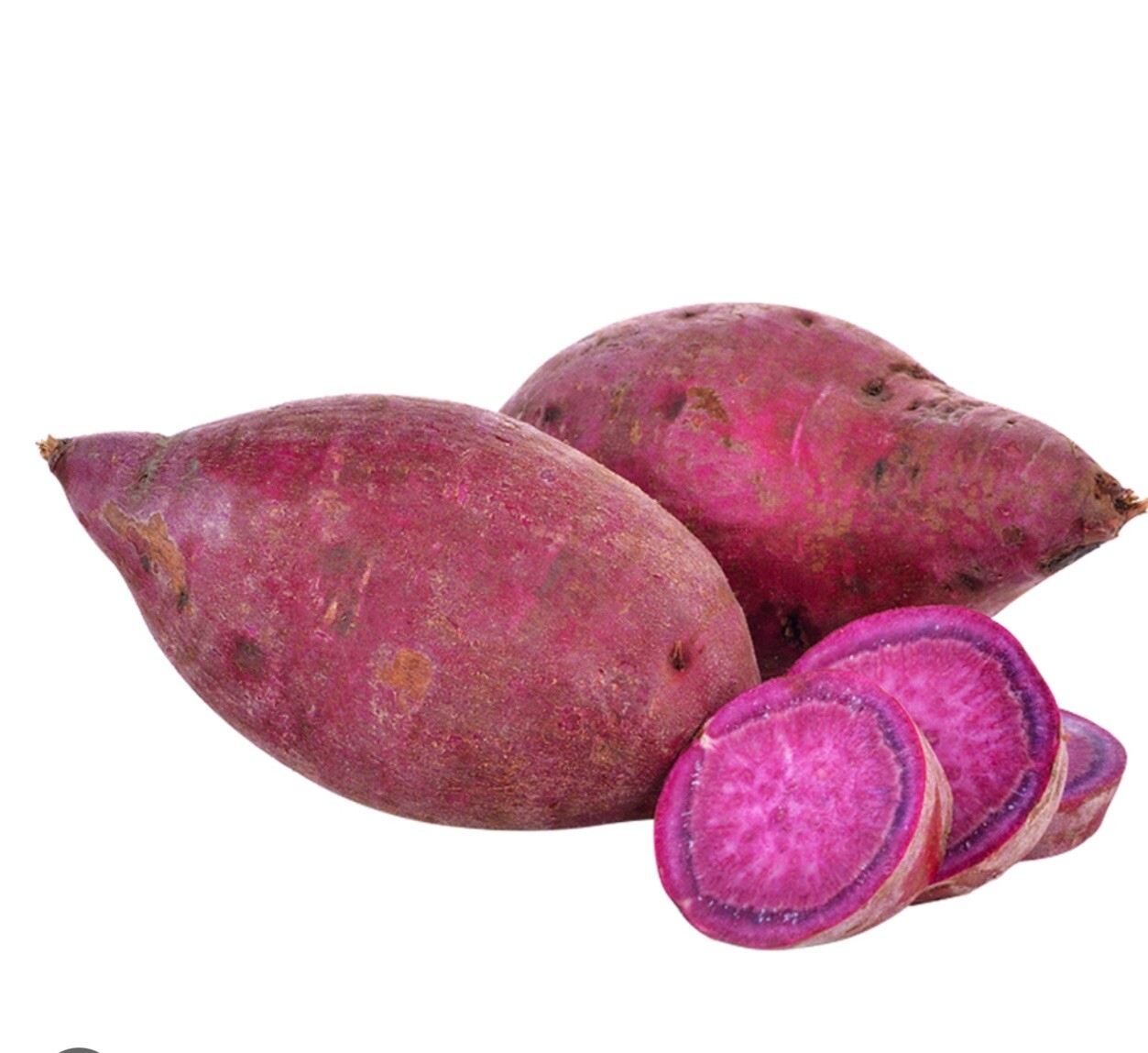 10 Purple Molokai Sweet Potato Slips/ Cuttings / Molokai Sweet Potato Slips