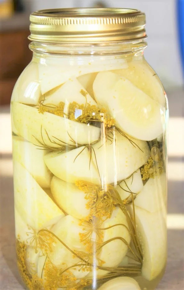 Lemon Cucumber Seeds | Golden Yellow Crystal Apple Cucumbers Budamkaya Seed 2024