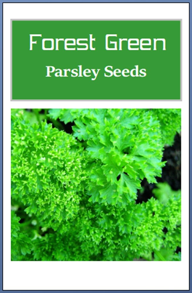 Forest Green Parsley Seeds | NON-GMO | Heirloom | Fresh Garden Seeds