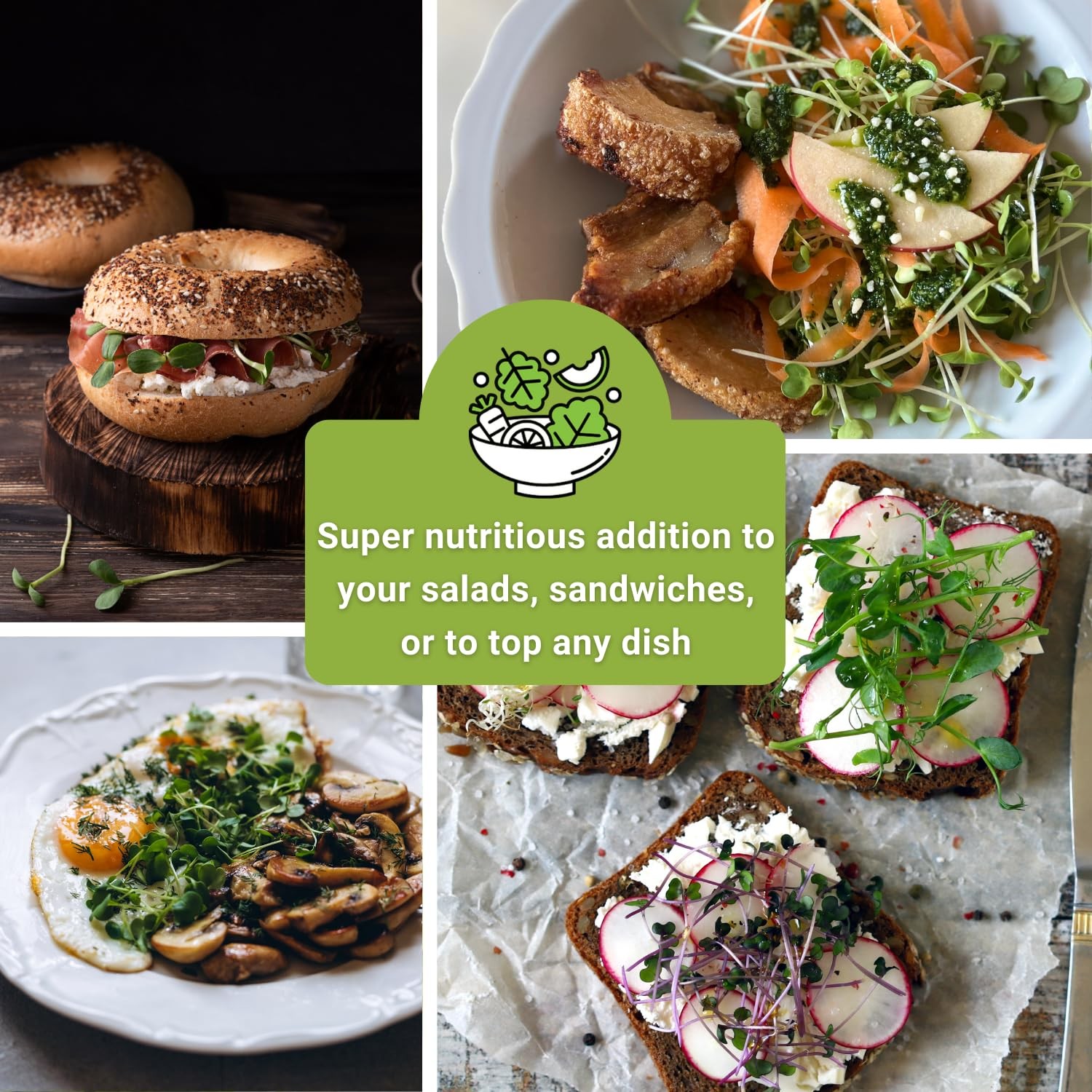 Large Microgreens Seed Collection 10 Superfood Varieties for Indoor Gardening
