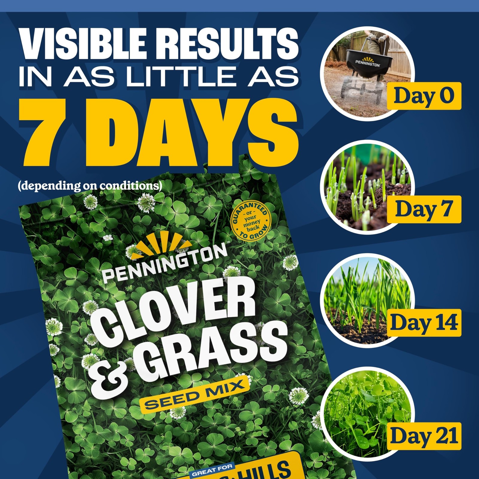 Pennington Clover & Grass Mix 7 Pounds