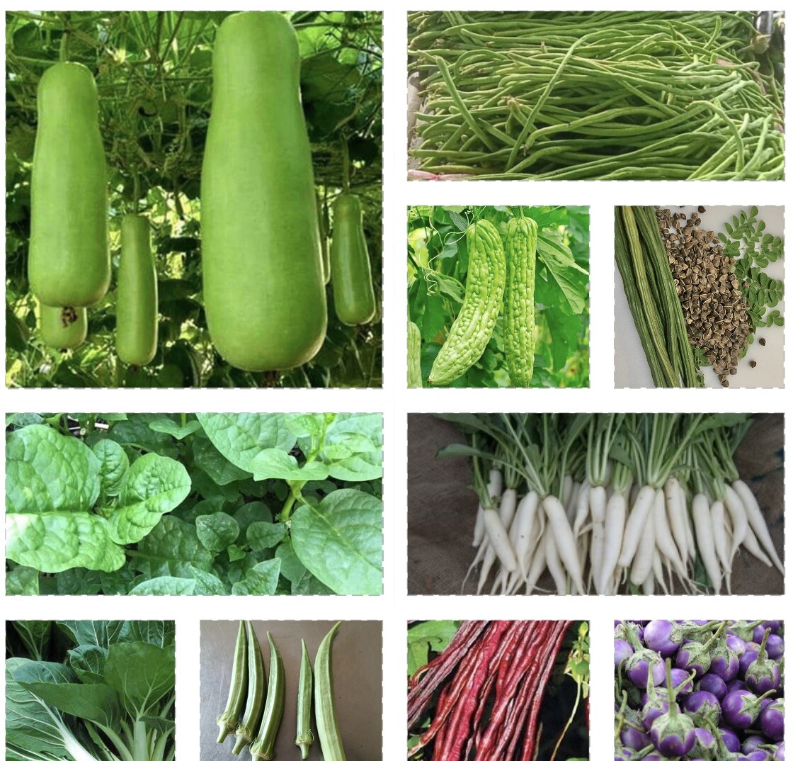 Set of 15 – Asian Vege Seeds- Please Check Description for Complete List.