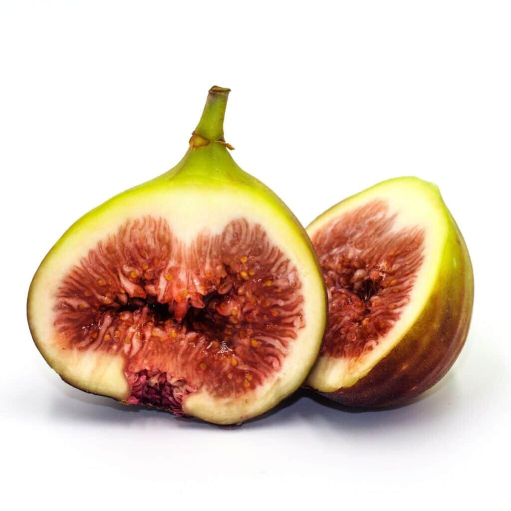 100+ Brown Turkey Fig Seeds for Garden Planting – USA – FREE SHIPPING!