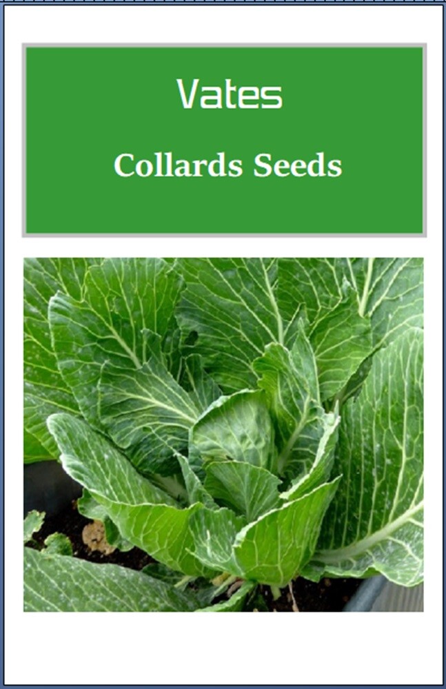 Vates Collards Seeds | NON-GMO | Heirloom | Fresh Garden Seeds