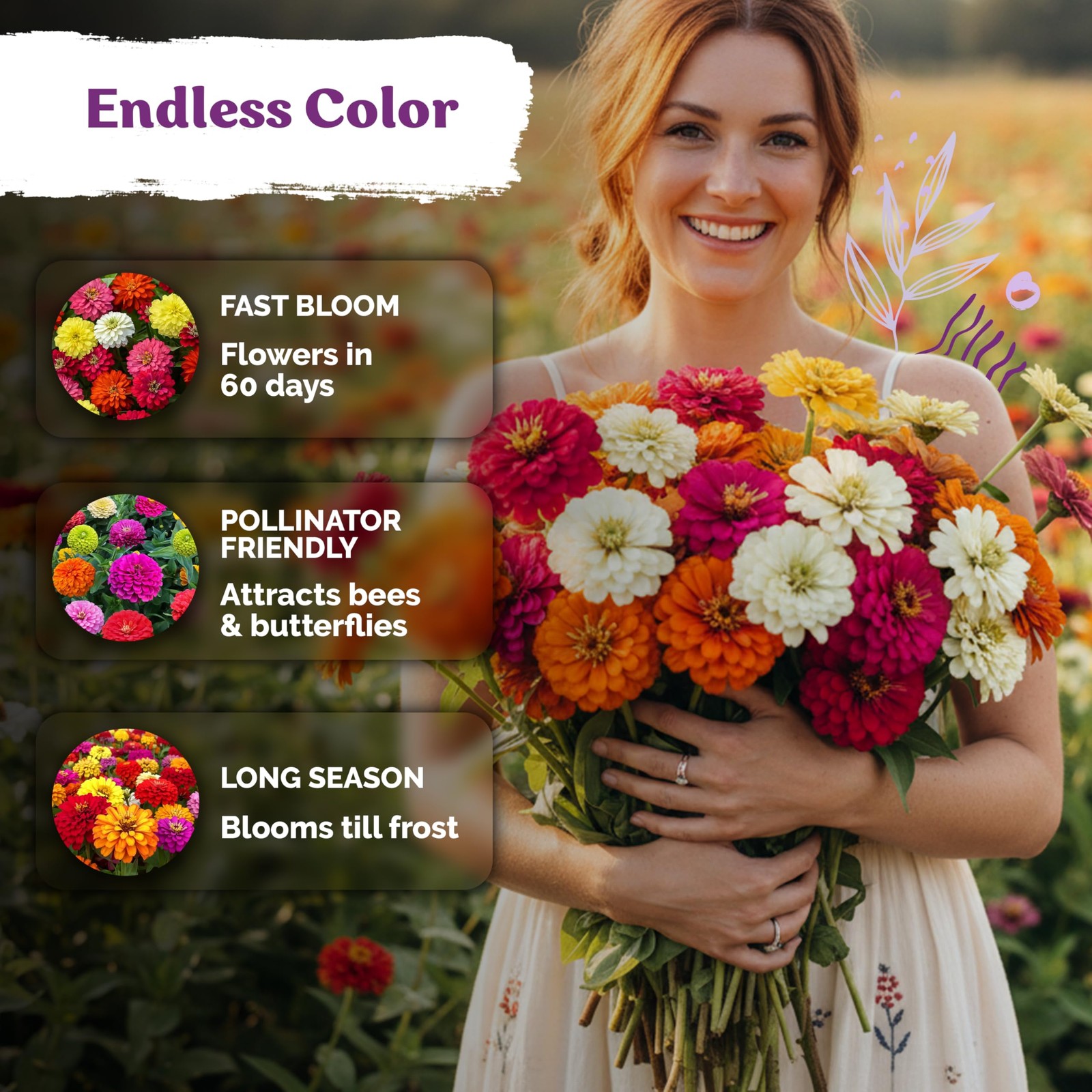 550 Crazy Blend Zinnia Seeds for 2026 (Zinnia Elegans) – Double Zinnia Seed M…