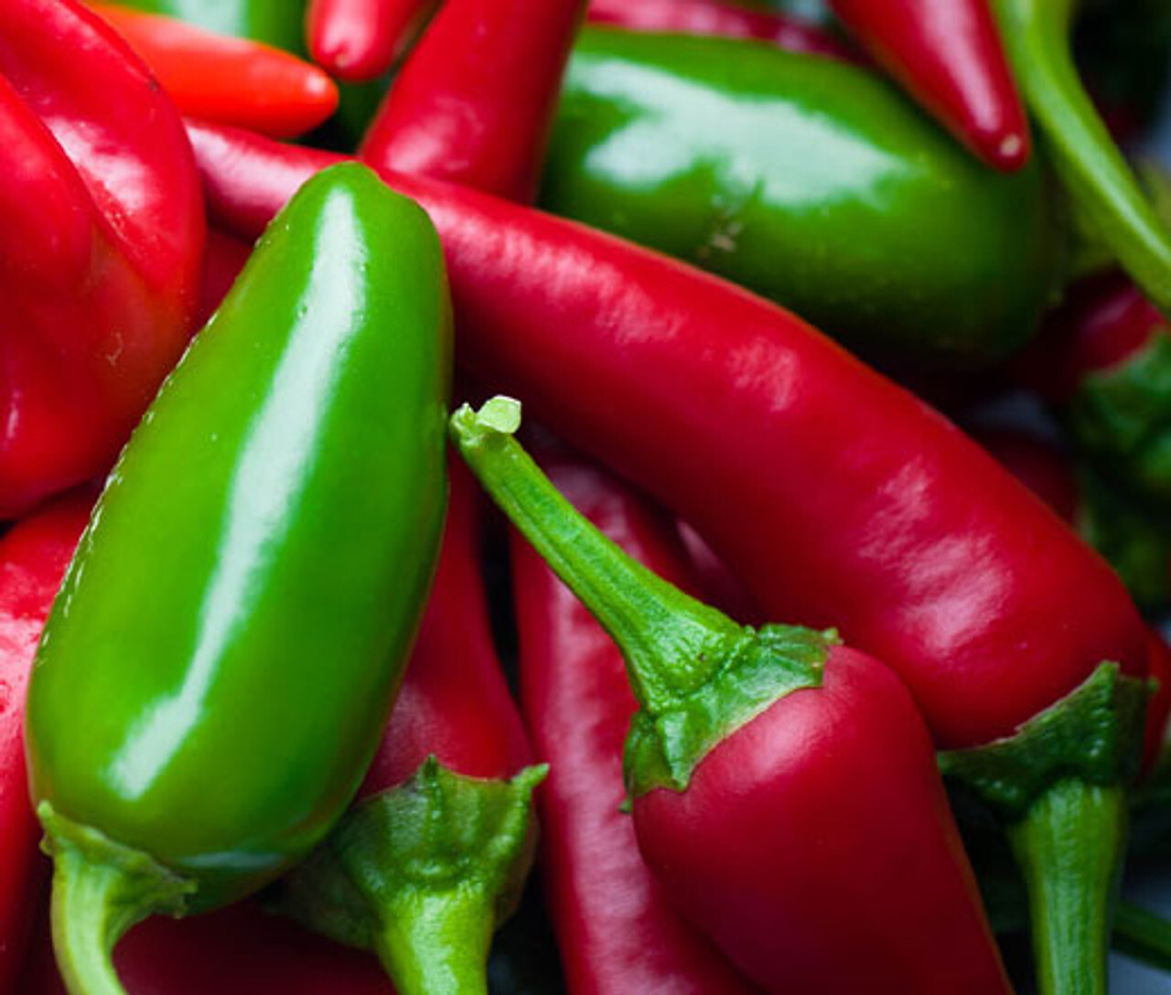 100 Heirloom Early Jalapeno Seeds – Super Fast Growing – 65 Day To Harvest!