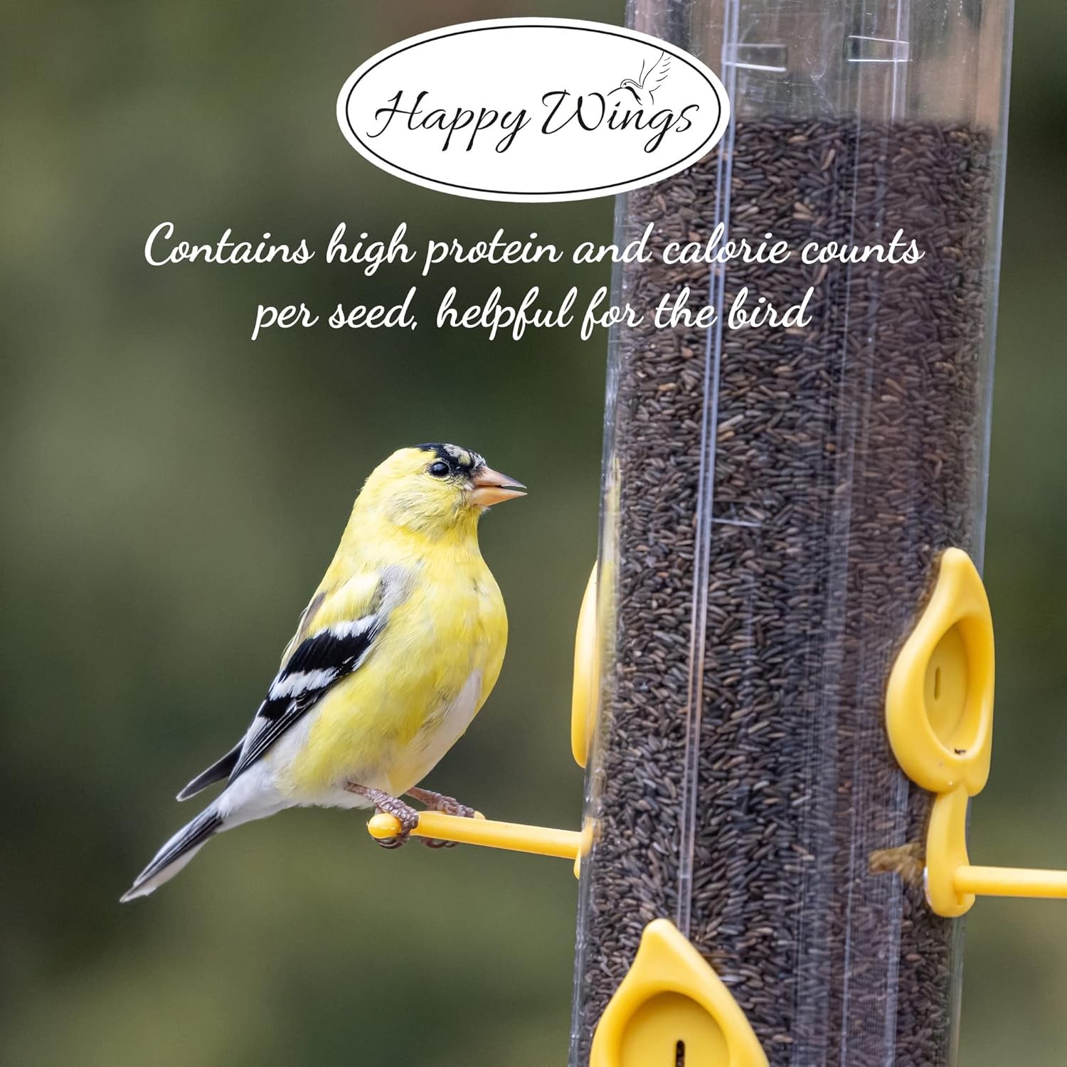 Happy Wings Nyjer/Thistle Seeds Wild Bird Food – 5 Pounds I No Grow Seed I Bird