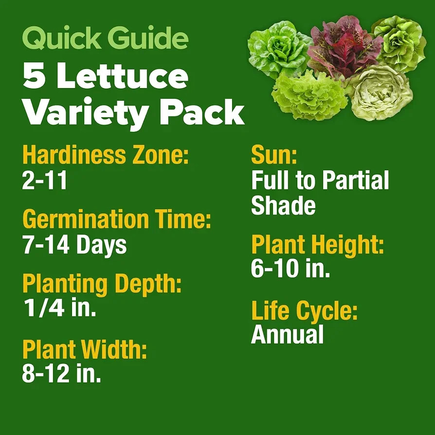 HOME GROWN 5 Lettuce Heirloom Seed Pack 3950+ Non-GMO Garden Seeds USA