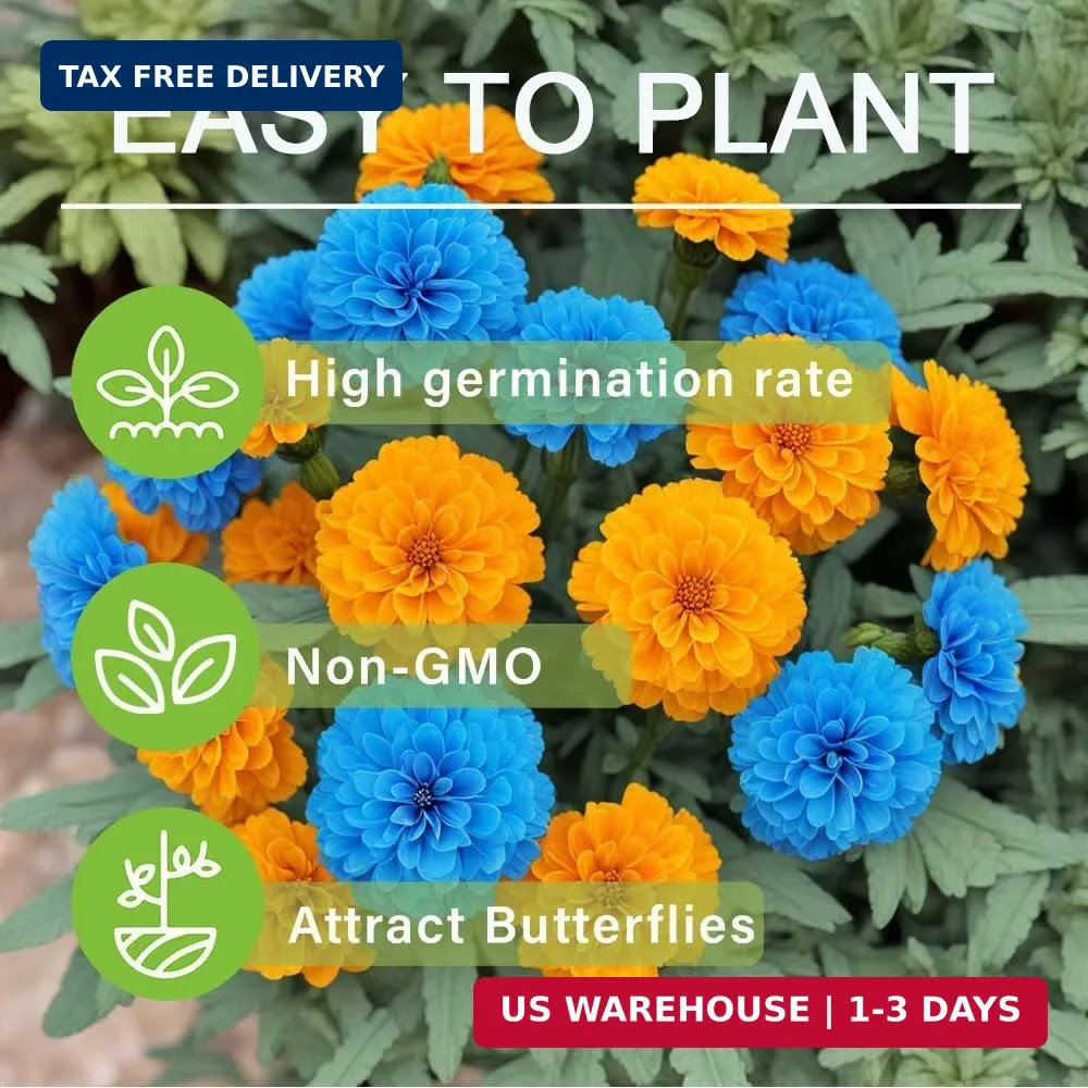 900+ Annual French Marigold Garden Flower Mix Flower Seeds for Planting Garden D