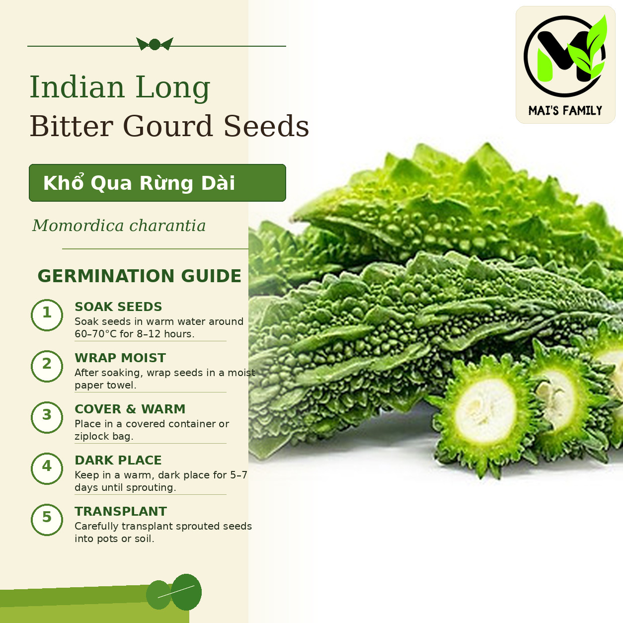 Indian Long Bitter Melon Seeds, Khổ qua rừng gai. Non-GMO Heirloom