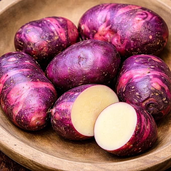 Viking Purple Seed Potatoes for Planting | Vibrant Purple Skin (3 Pounds)