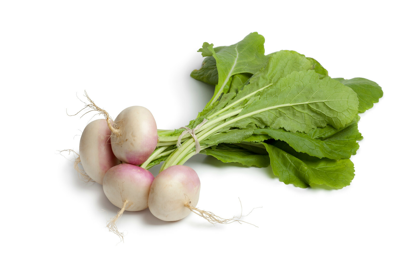 Turnip Green 650+Seeds (Purple Top White Globe) NON-GMO Heirloom Vegetable See