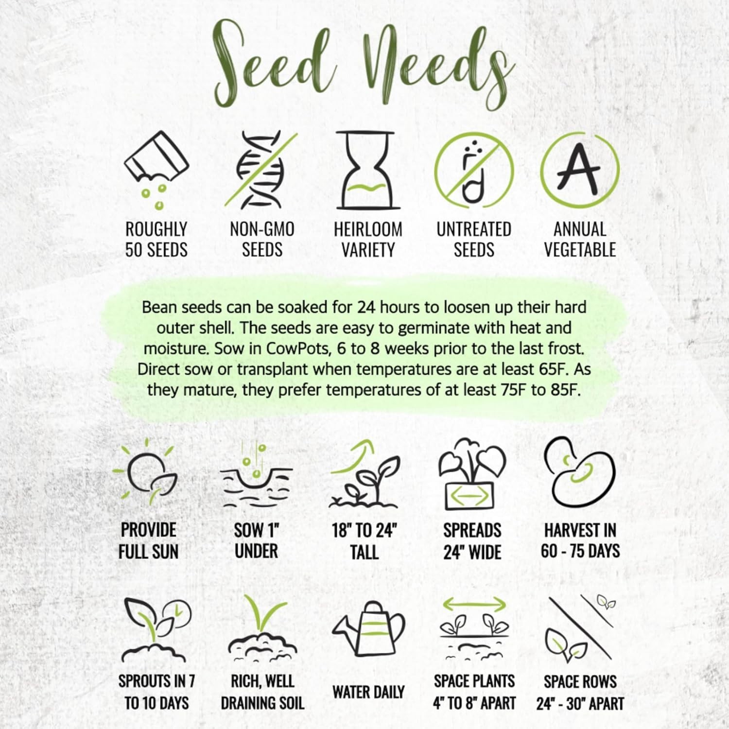 Henderson Lima Bean Seeds – Non-GMO Heirloom for Your Vibrant Vegetable Garden