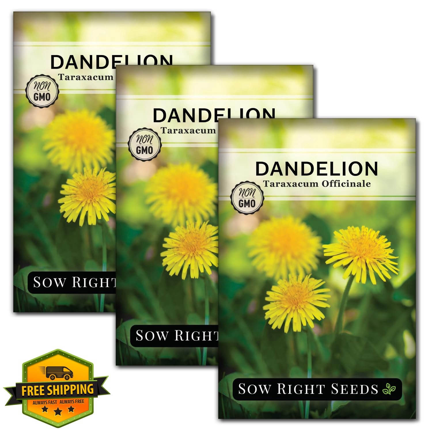 Sow Right Seeds Dandelion Seeds 3 Pack