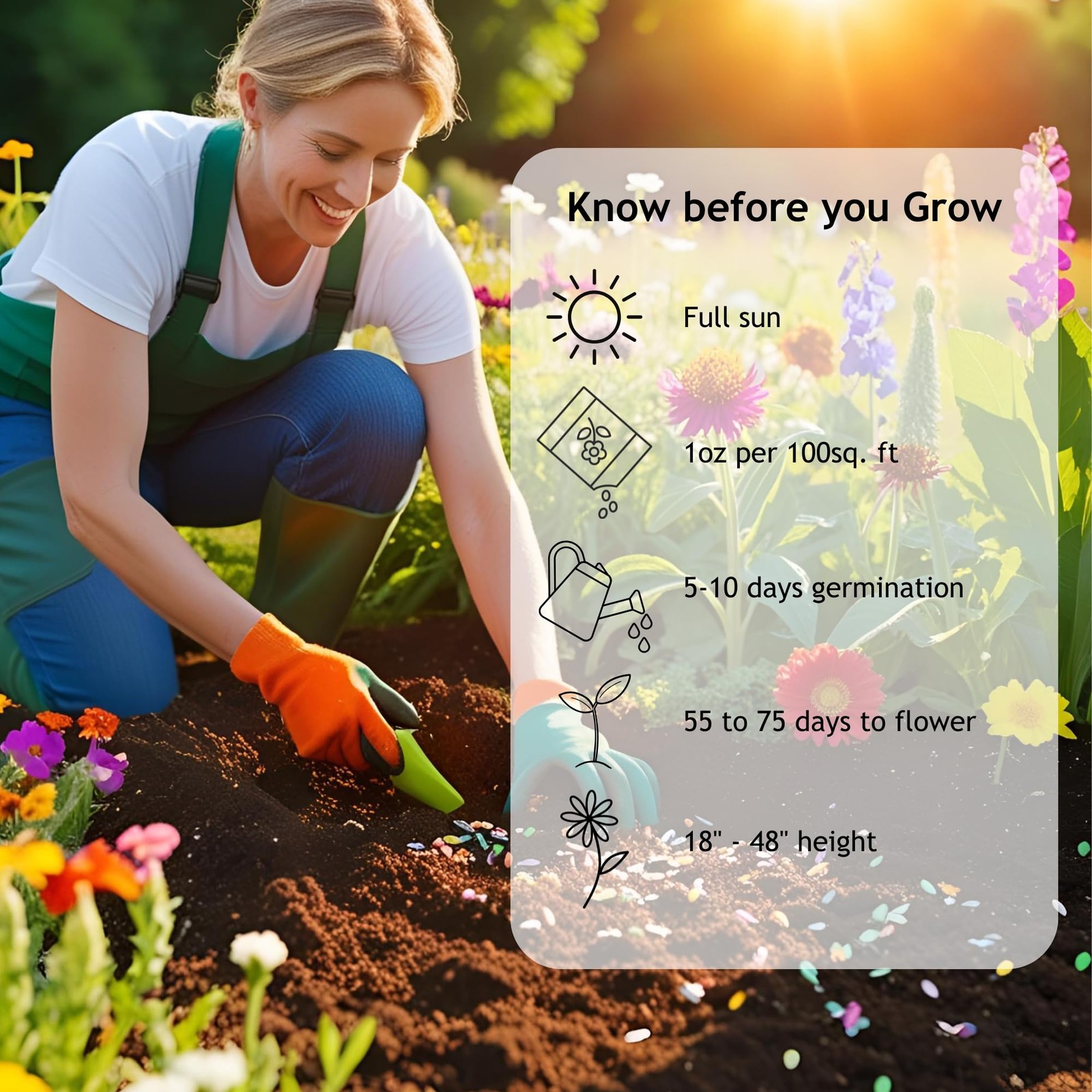 Wildflower Seeds Bulk, 1 Oz. 40,000+ Seeds – Butterfly & Hummingbird Mix