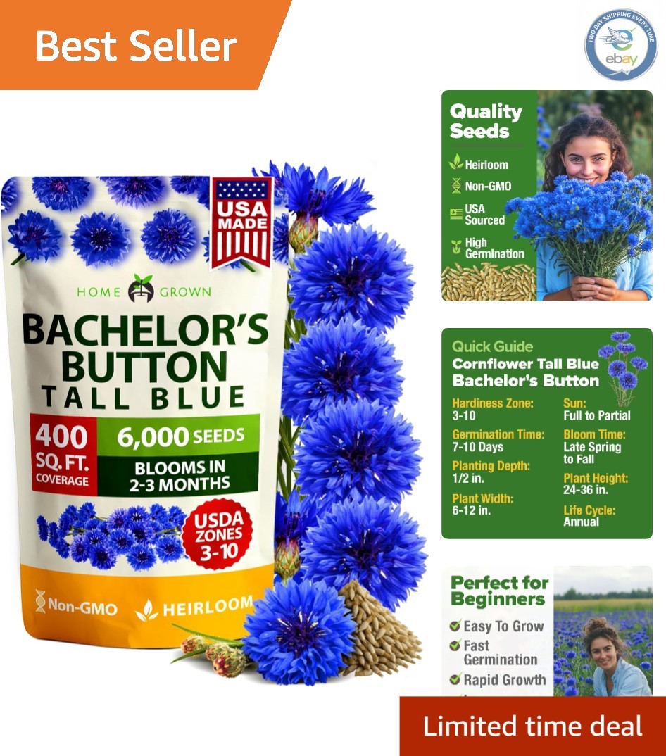 6000 Bachelor Button Seeds – Tall Blue Blooms for Low-Maintenance Wildflower …