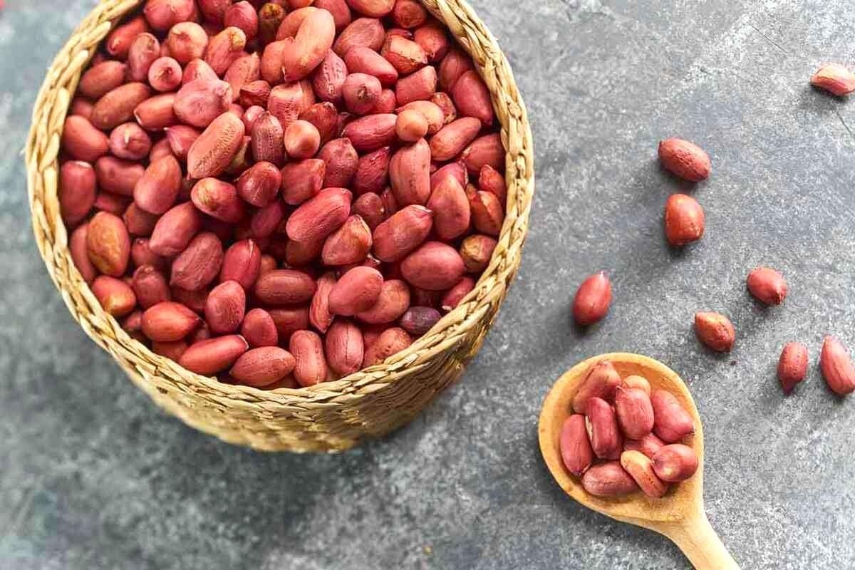 Spanish Peanut Seeds – 10 Pack for Growing Annual Warm-Season Plants, High Yield