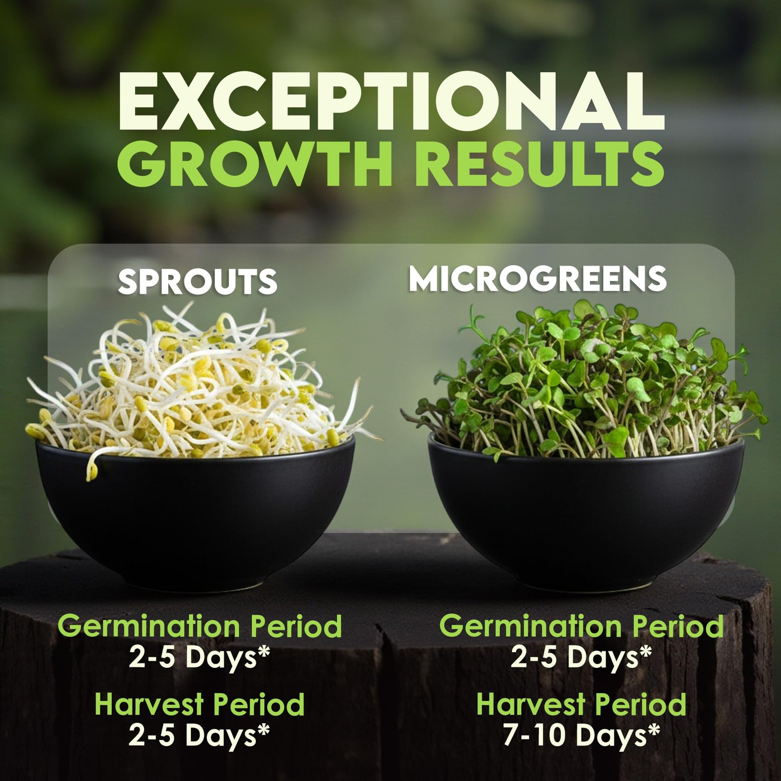 Organic Microgreen Seeds 1lb Broccoli Alfalfa Radish Clover Home Sprouting