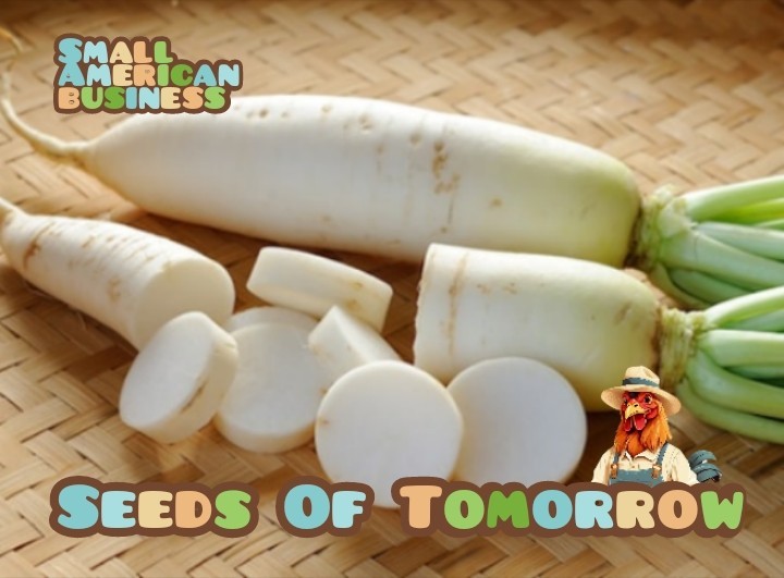 250 Japanese Daikon Radish Seeds-with Bonus! / ORGANIC NON-GMO HEIRLOOM