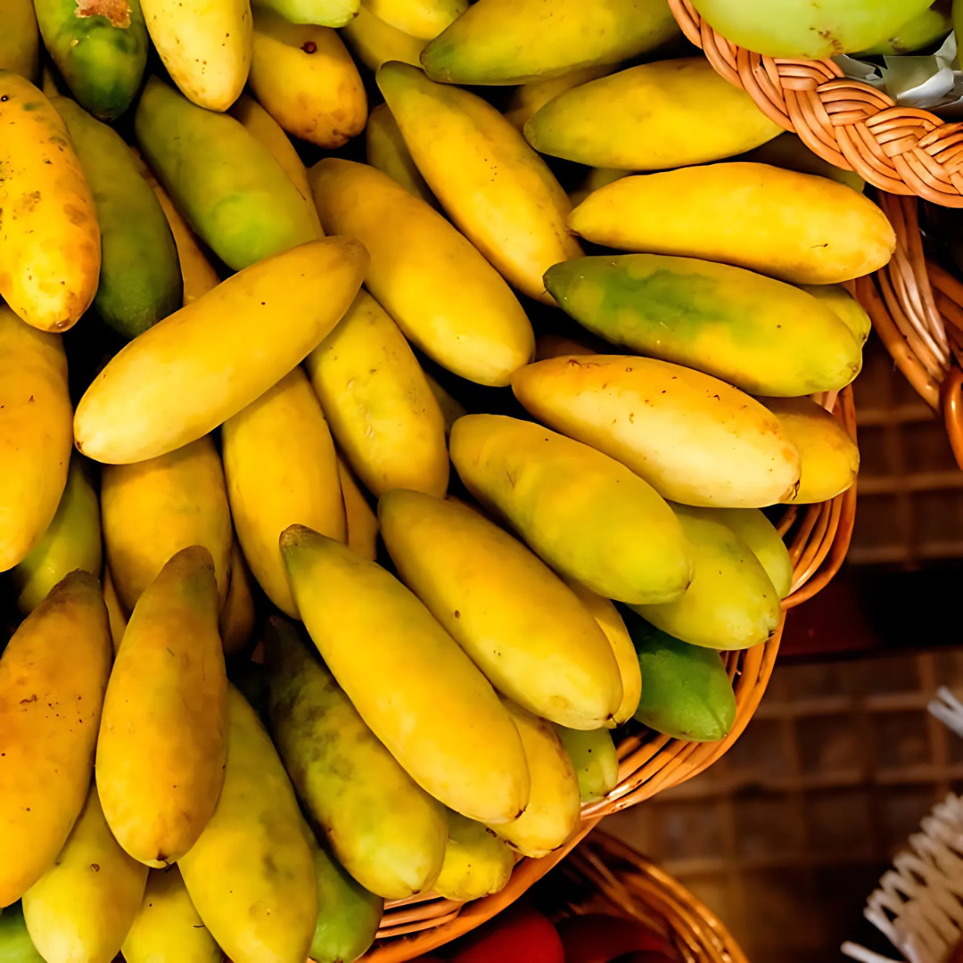 Fresh Premium Banana Passion Fruit Seeds | Heirloom | Non-GMO | Fruit Seeds