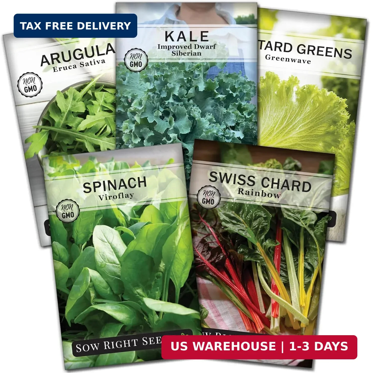 Sow Right Seeds – Power Greens Seed Collection for Planting – Spinach, Arugula,