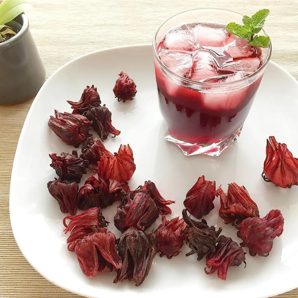 🌱NEW! Heirloom Roselle/ Florida Cranberry/ Jamaica sorrel Flower 20 Seeds