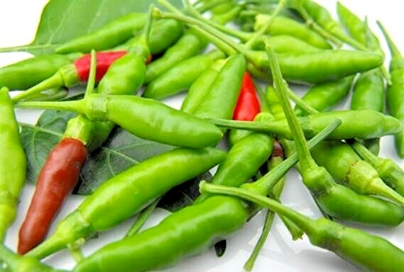 25 Newly Harvested Fresh Quality Hot Thai Garden Bird Premium Pepper Seeds-A 76