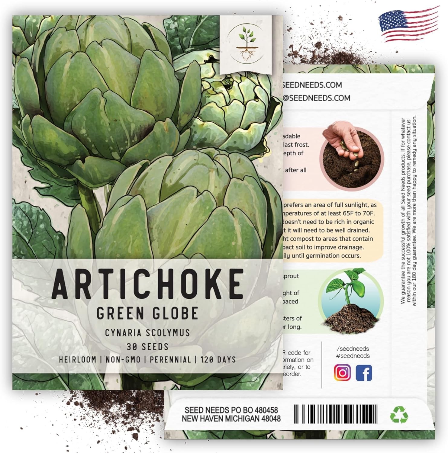 Green Globe Artichoke Seeds – Easy to Grow, Non-GMO, 2 Packs for Grown Gardeners