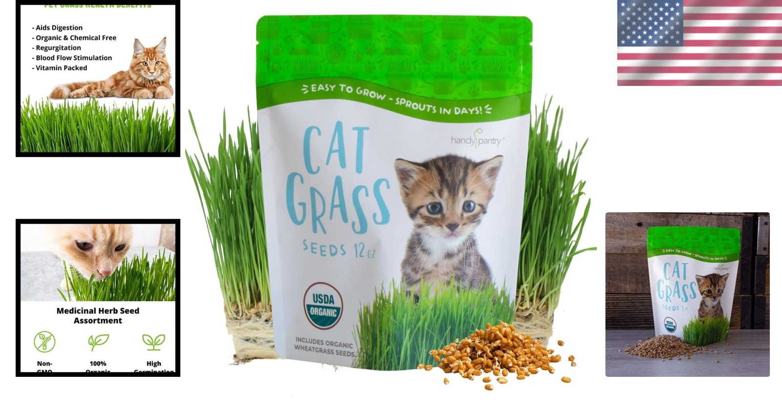 Organic Cat Grass Seeds – Non-GMO Wheatgrass, 12 oz Pet-Friendly Treat