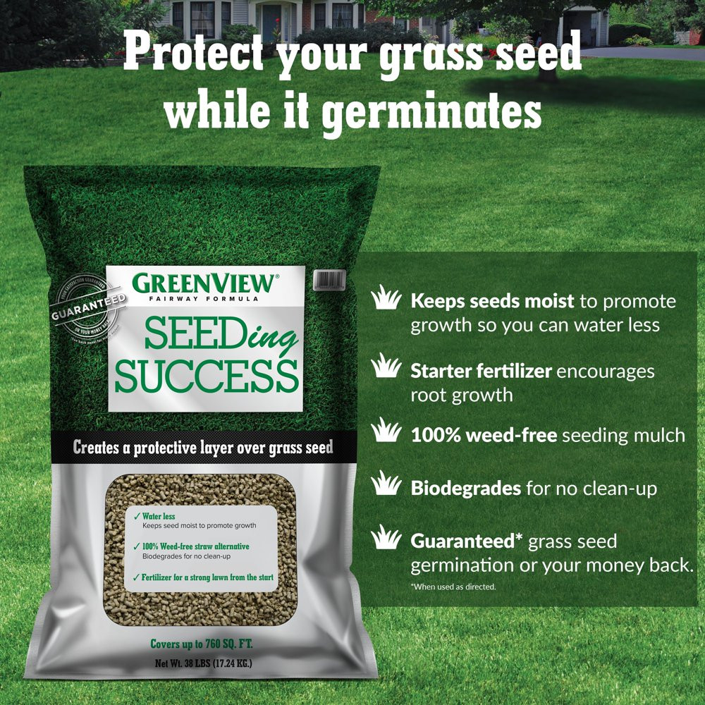 GRASS SEED Fairway Formula Sunny Mixture – 3 Lbs