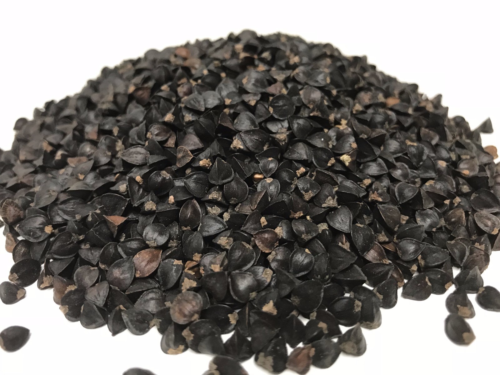 Buckwheat Seed Unhulled 5 LB-High in Fiber & Proteins – Great for Sprouting !