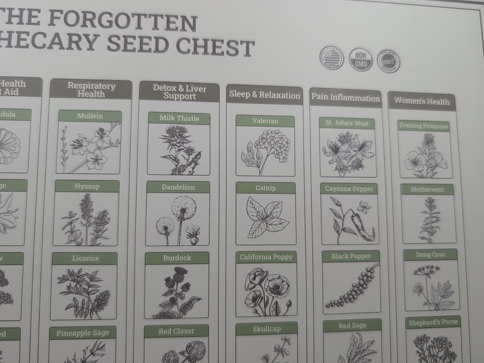 Medicinal Herb Seed Chest 36 000+ Non GMO Survival Kit Lush&Dew Ancestral Gifts