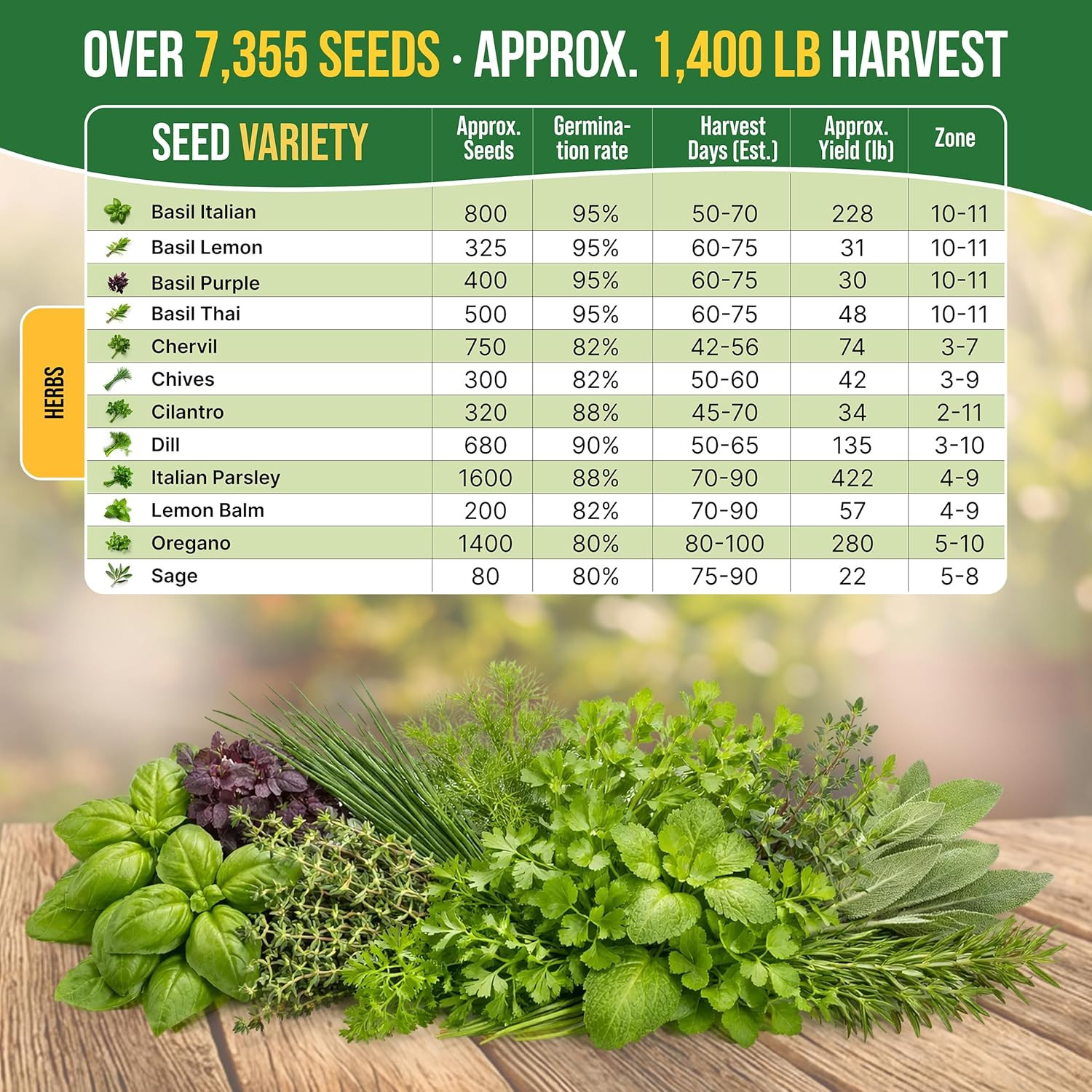 Culinary Herb Seeds Variety Pack 12 Types Non-GMO Heirloom Indoor Outdoor Garden