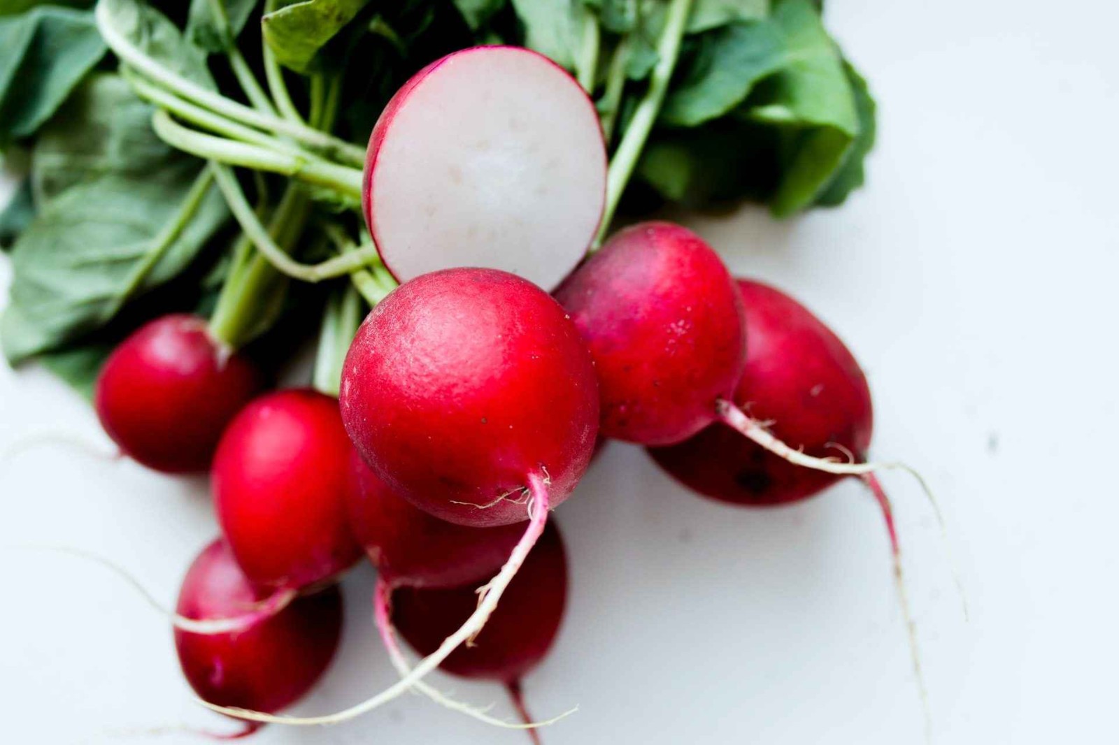 350 Organic Heirloom Champion Radish Seeds – Sweet Crisp Fall Heirloom Veggie