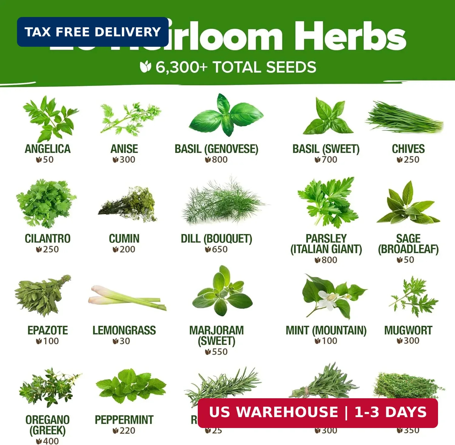 HOME GROWN Premium Herb Seeds Variety Pack – 20 Heirloom Herb Seeds for Planting