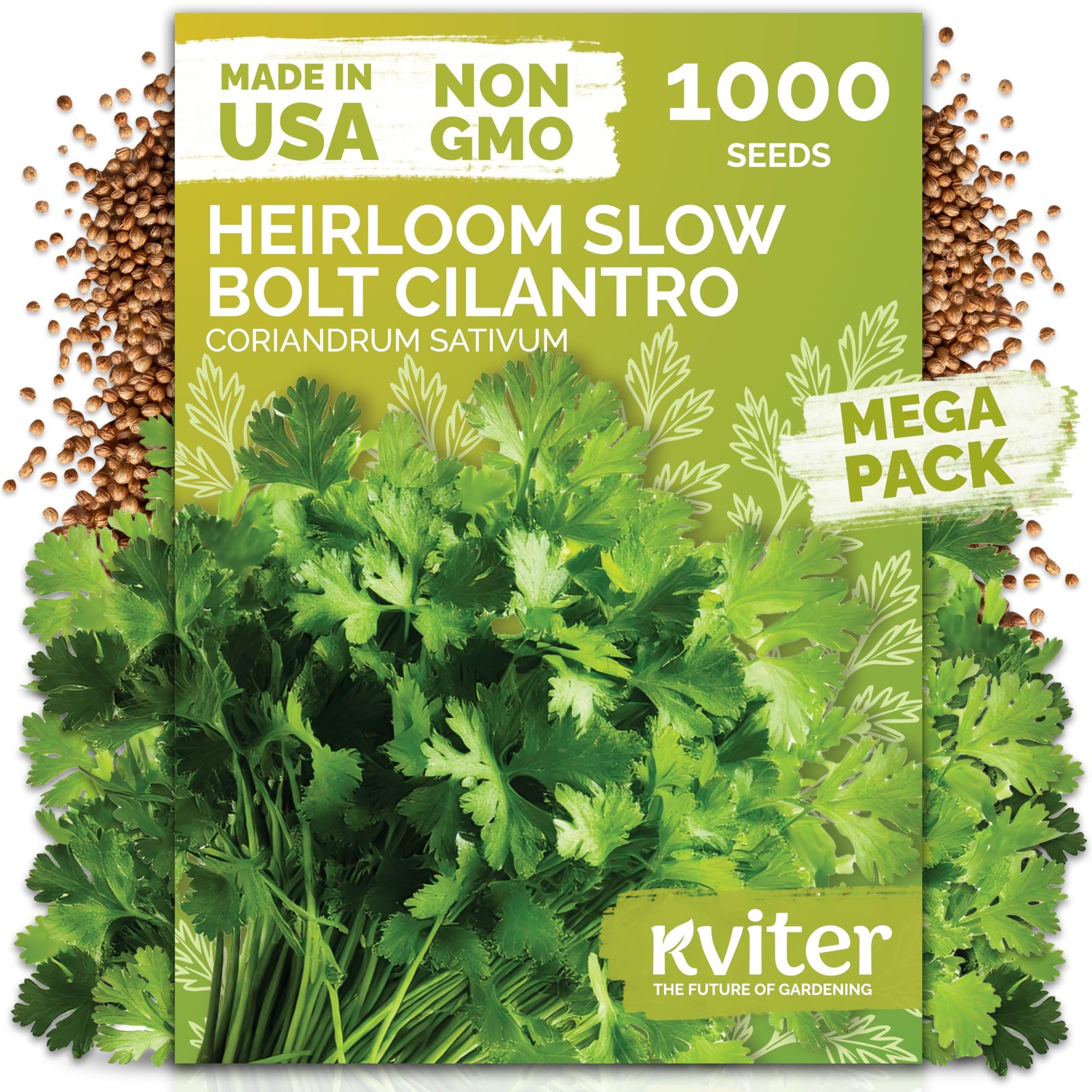 KVITER 1000 Slow Bolt Cilantro Seeds (Coriandrum sativum)