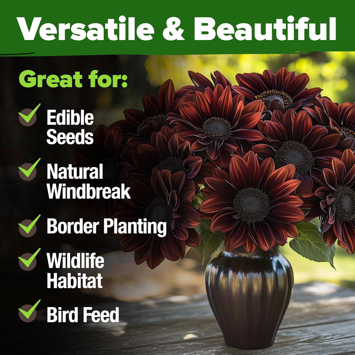 Chocolate Cherry Sunflower Seeds – 150 Heirloom Non-Gmo Seeds – Burgundy Sunflow