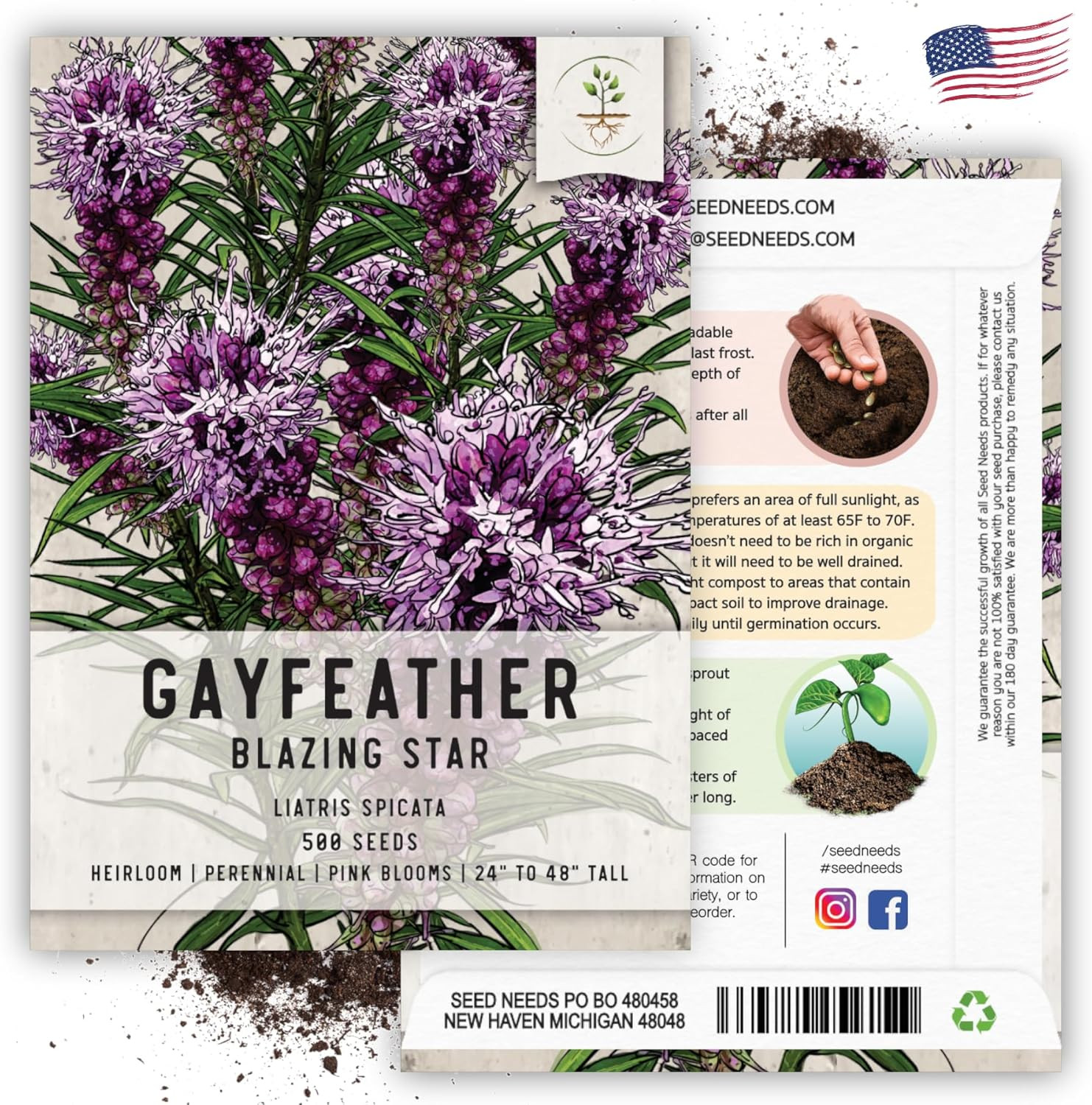 , Gayfeather Seeds – 500 Heirloom Seeds for Planting Liatris Spicata – Perennial