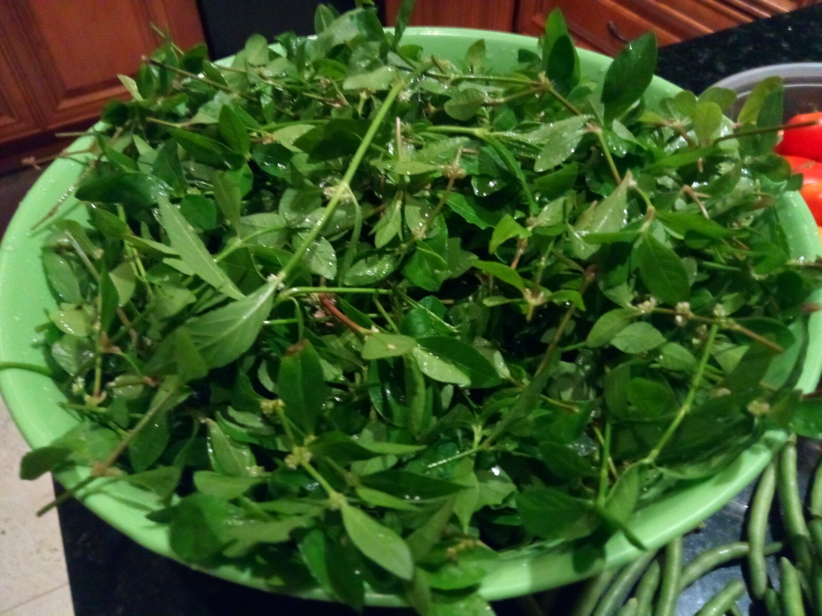 200+Sessile Joyweed/Ponnanganni/Mukunuwenna/Dwarf Copperleaf/Alternanthera Seeds