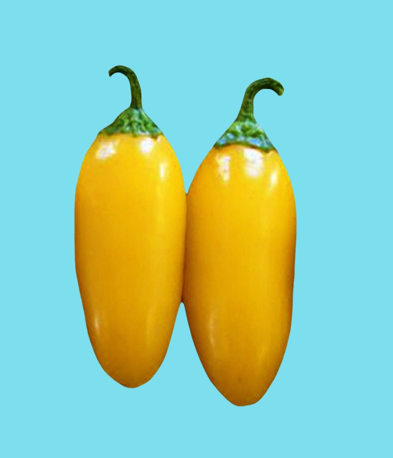 Lemon Spice, Jalapeno Pepper