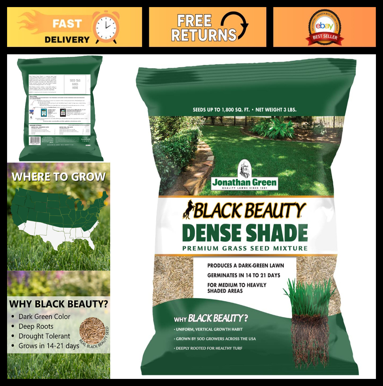 Dense Shade Grass Seed – Black Beauty Cool Season Lawn Seed for Thick Turf (3 lb