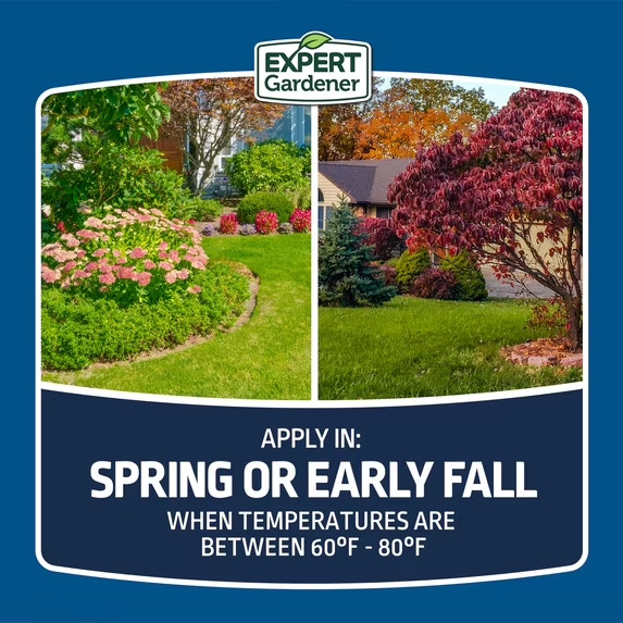 Expert Gardener Sun & Shade Northern Grass Seed Mix for Sun to Partial Shade