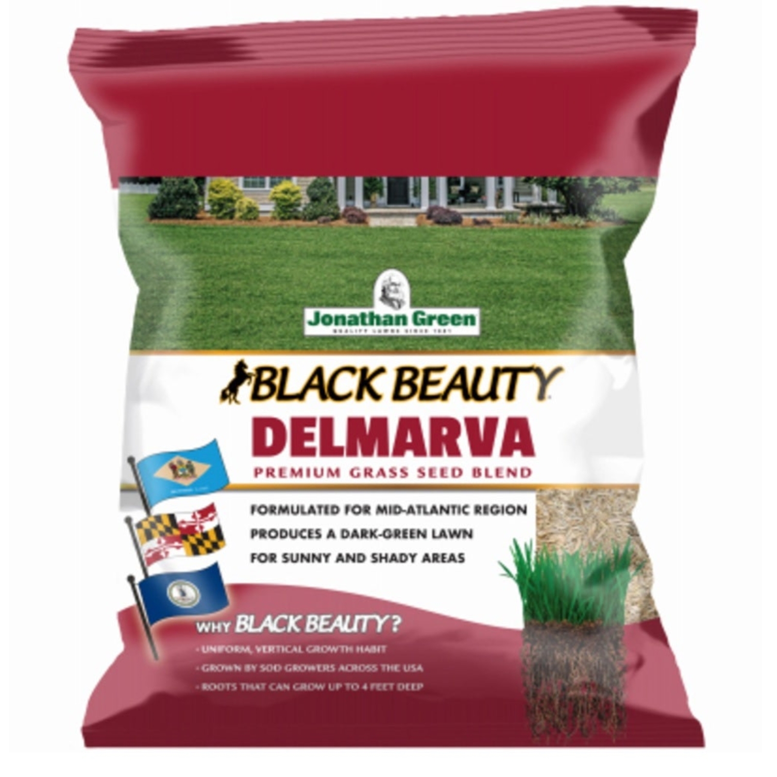 Jonathan Green (#10390) Black Beauty Delmarva Mix Grass Seed, 3 Lb