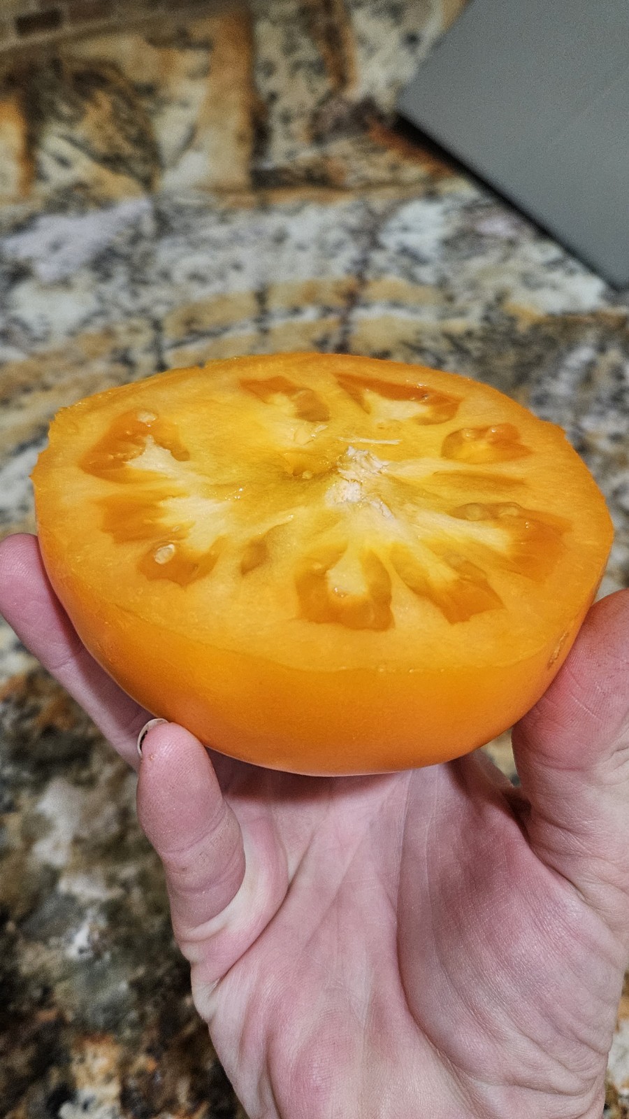 Orange Queen Tomato Seeds (30) / Organic / Florida Grown / Super Rare